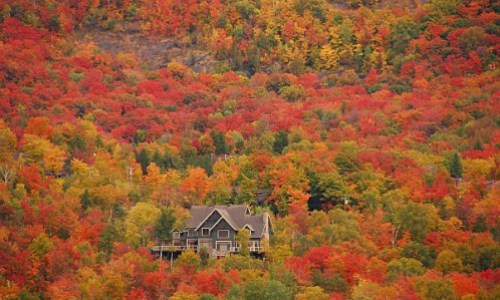 Automne-au-Quebec