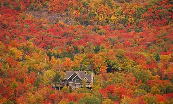 Automne-au-Quebec