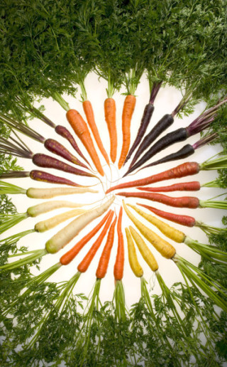 Carrots_of_many_colors-copie-1