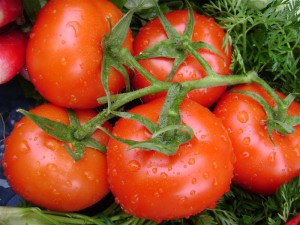 TOMATE-GRAPPE.JPG