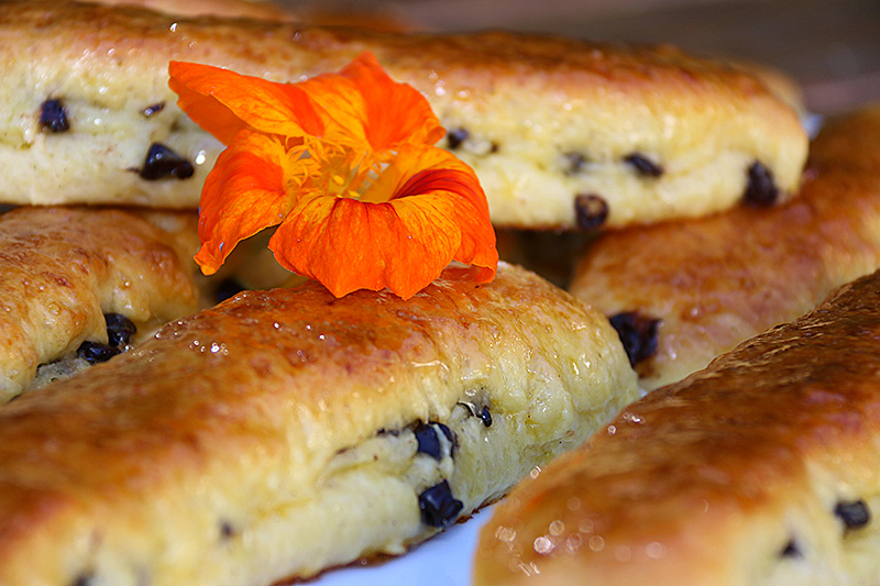 brioches-suisses-04w