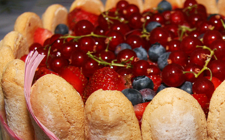 fraisier-2w