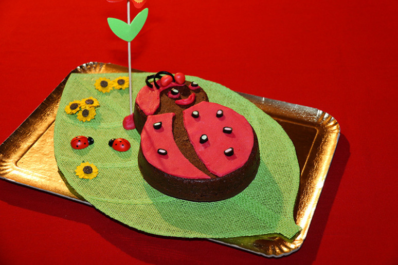 gateau-coccinelle-2w