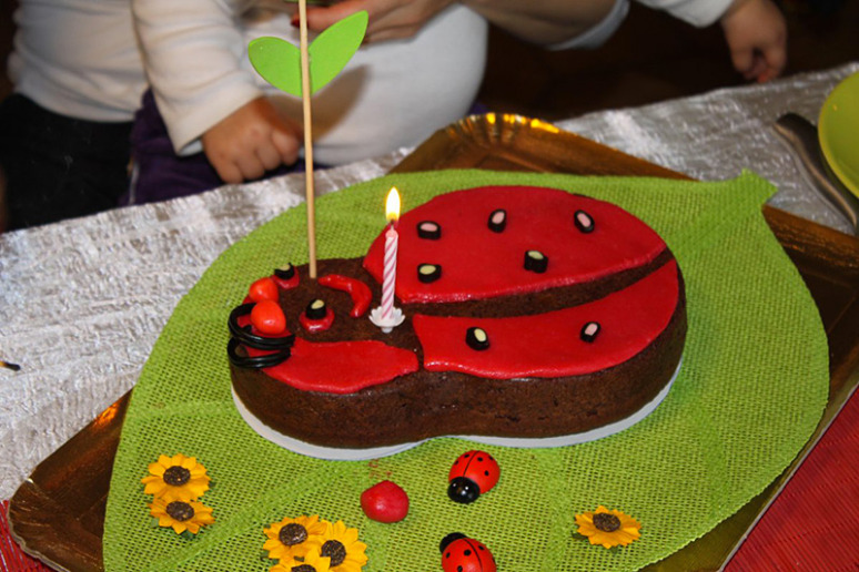 gateau-coccinelle-3w
