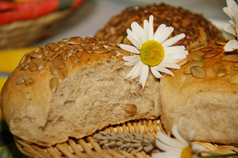 pain-marguerite-4w