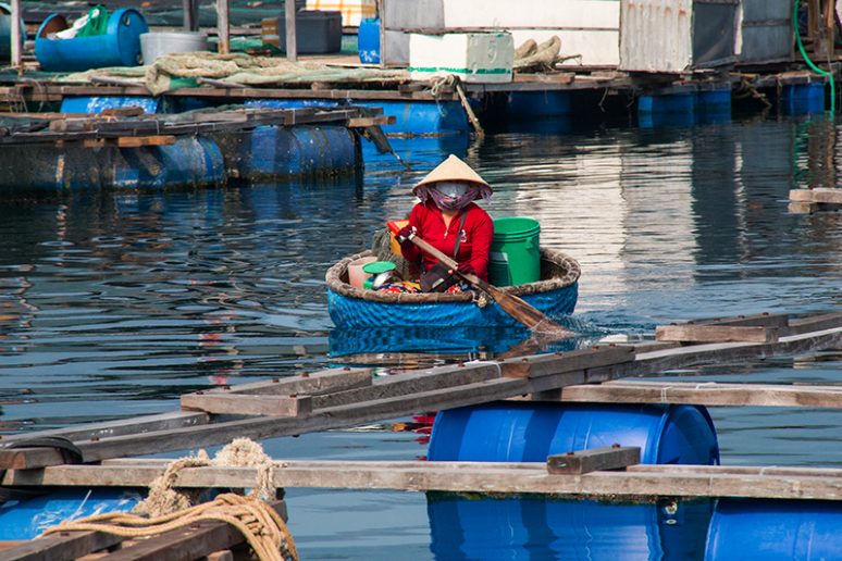 Vietnam