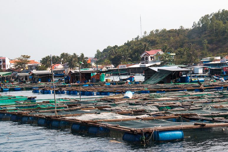 Vietnam