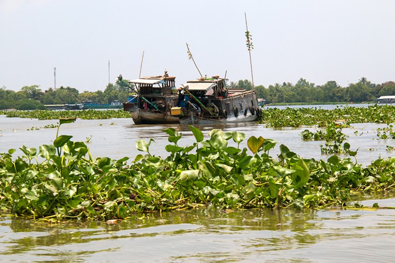 Voyage au Vietnam