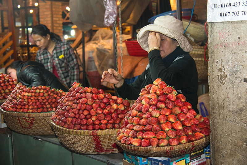 voyage au Vietnam20160419_Vietnam-JP_Dalat_5134w