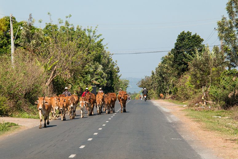 vietnam
