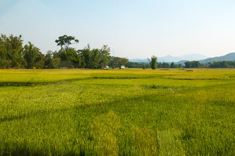 vietnam