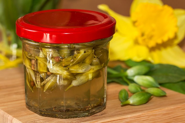 boutons floraux