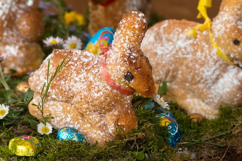 Lapins de Pâques