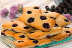 financiers