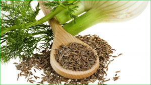 fenouil