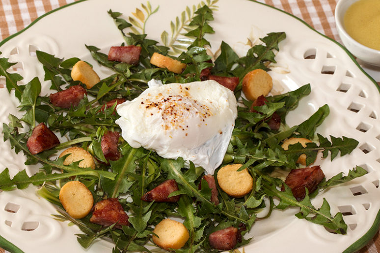 salade de pissenlits