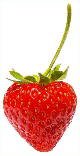 fraise