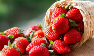 fraise