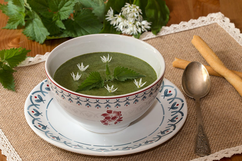 soupe d'orties