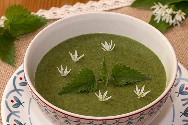 soupe d'orties