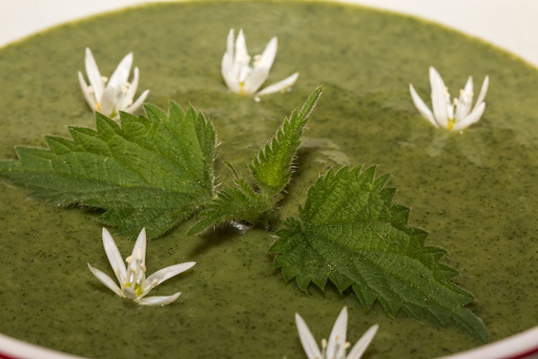 soupe d'orties