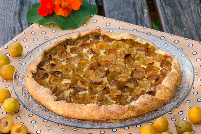 tarte mirabelles