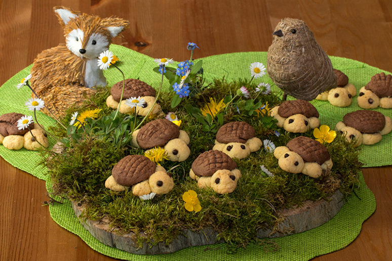 biscuits tortues