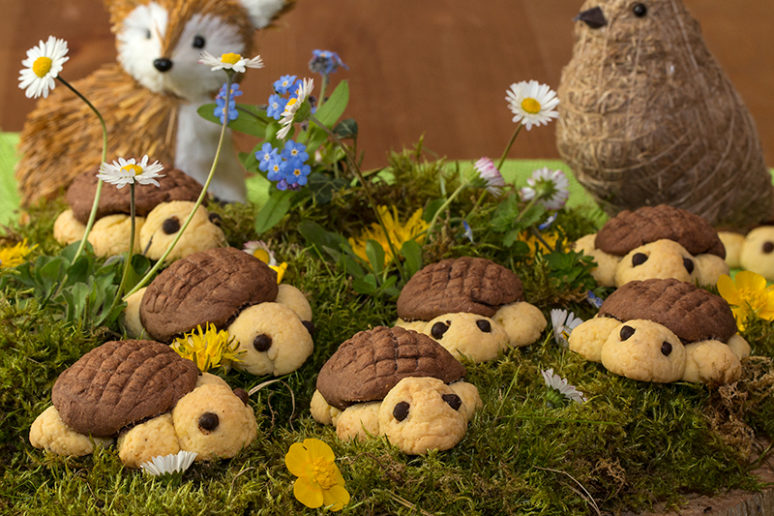 biscuits tortue