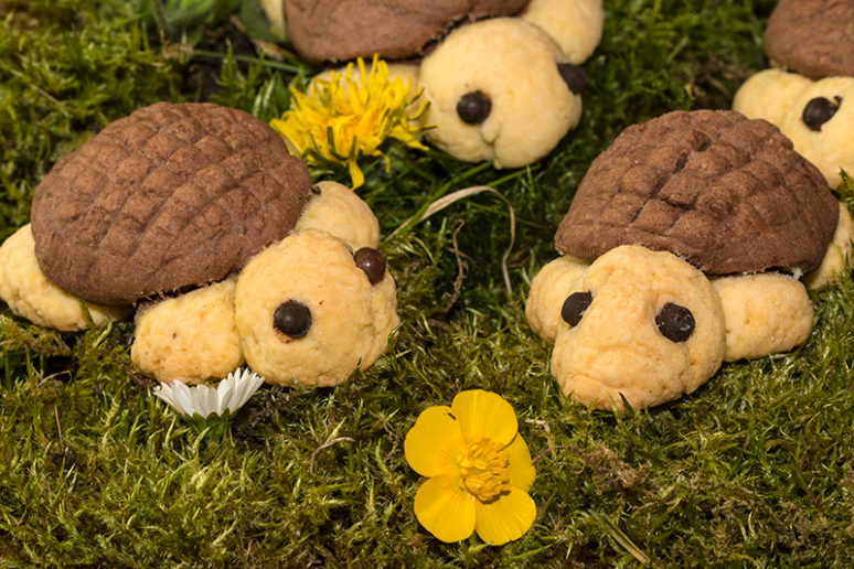 biscuits tortue