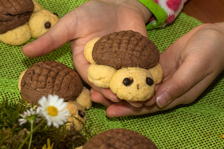 biscuits tortue
