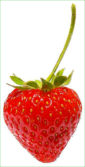 fraise