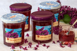 lilas