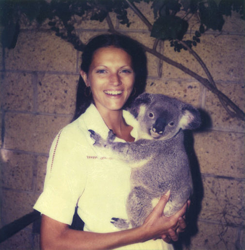 koalas
