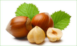 noisettes