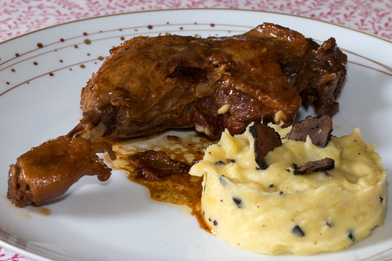canard