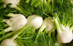 fenouil