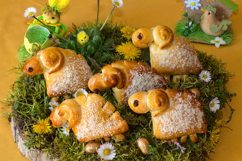 moutons briochés