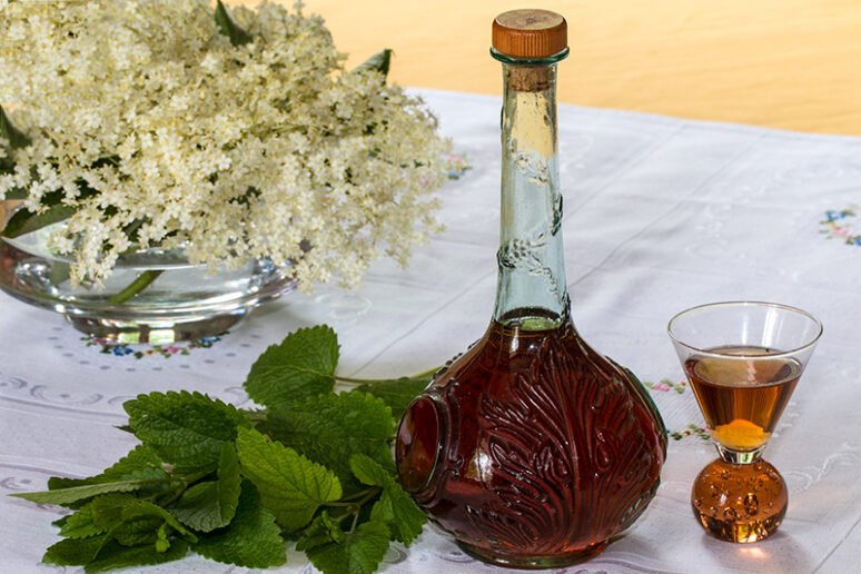 liqueur mélisse