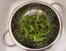 verveine