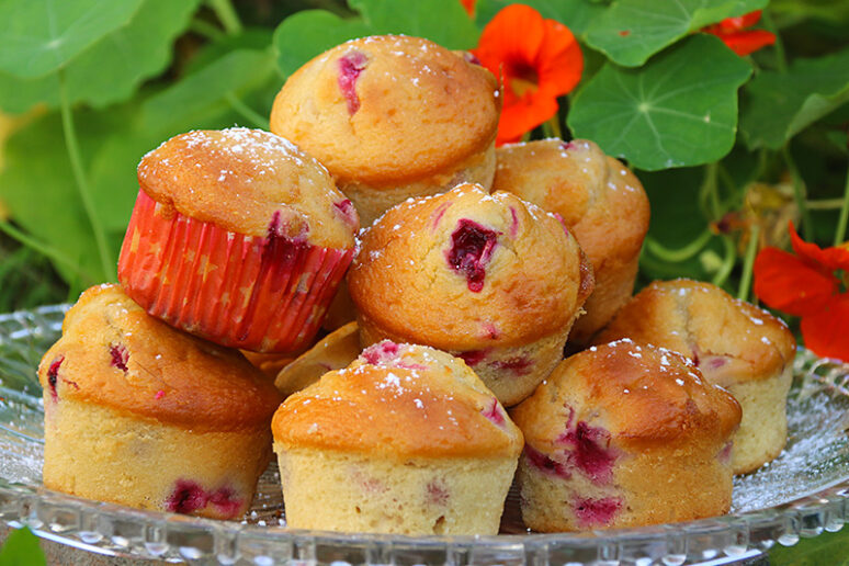 muffins aux canneberges
