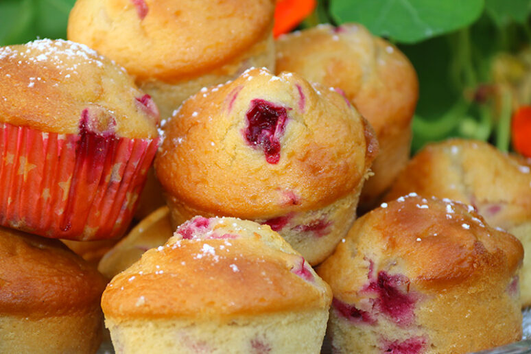 muffins aux canneberges