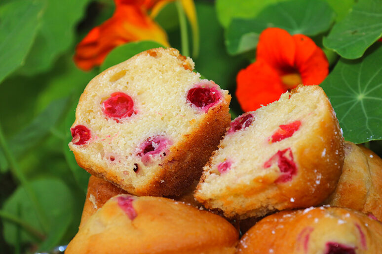 muffins aux canneberges