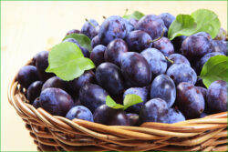 prune