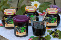 confiture cassis