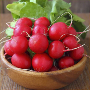 radis