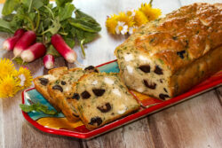 fanes de radis