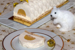 bûche exotique