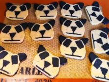 biscuits panda