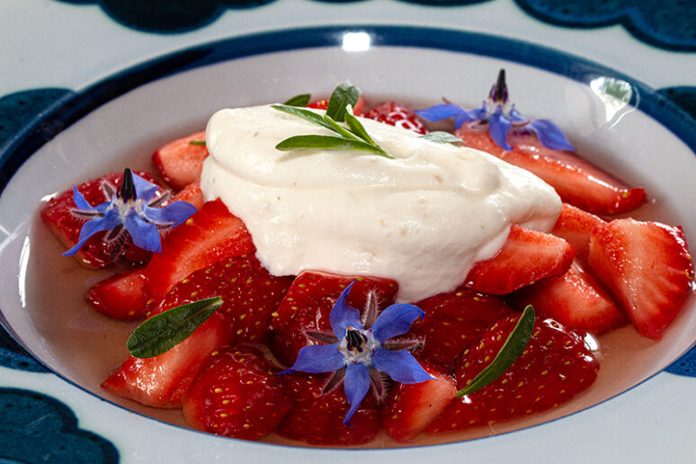 ricotta