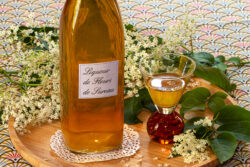 fleurs de sureau